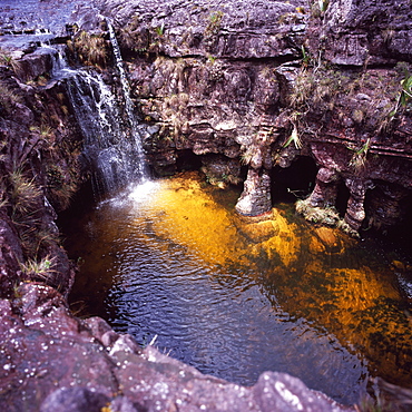 Fosso Sinkhole, summit of Mount Roraima (Cerro Roraima), Tepuis, Venezuela, South America