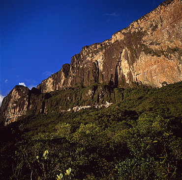 Ascent ledge on southwest cliff, Mount Roraima (Cerro Roraima), Tepuis, Estado Bolivar, Venezuela, South America