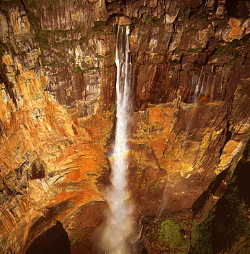 Aerial image of Angel Falls and Mount Auyantepui (Auyantepuy) (Devil's Mountain), Tepuis, Venezuela, South America