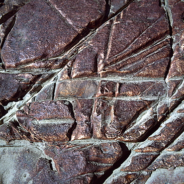 Red jasper rock at Orinduik Falls, Ireng River, Guyana, South America