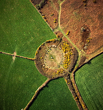 Aerial image of Boscawen-Un Stone Circle, with gorse flowers, St. Buryan, Cornwall, England, United Kingdom, Europe