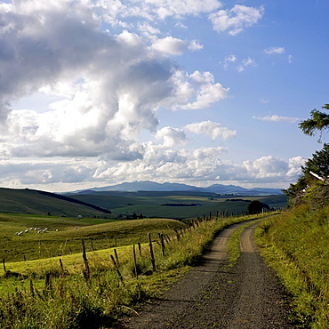 Rolling hills in Cezallier, Auvergne, France, Europe