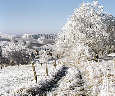 Winter with hoarfrost in the Erzgebirge mountains, path with view on Hartmannsdorf, Saxony, Germany, Europe