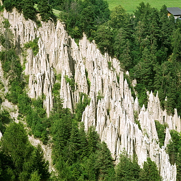 Earth pyramids, Mitterberg, Ritten, province of Bolzano-Bozen, Italy, Europe