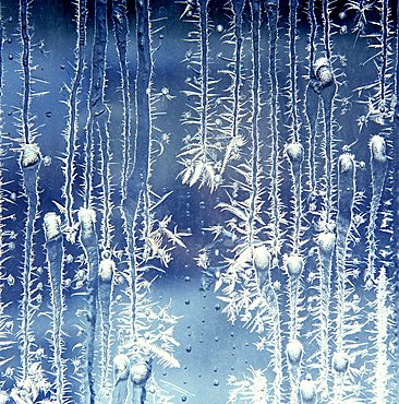 thawing frost pattern on a window pane