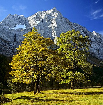 Grosser Ahornboden, autumn, Mt. Spritzkarspitze, Eiskarln, Karwendel Range, Tirol, Austria