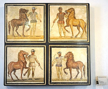 Mosaic with charioteers in the Palazzo Massimo, National Museum of Rome, Lazio, Italy, Europe