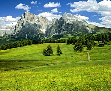 Langkofel and Plattkofel mountains, Dolomites, South Tyrol, Italy, Europe