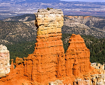 Bryce Canyon National Park, erosion, Utah, USA