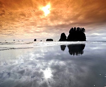 Monolith, solidified lava rock at Cannon Beach, Clatsop County, Oregon, USA, North America