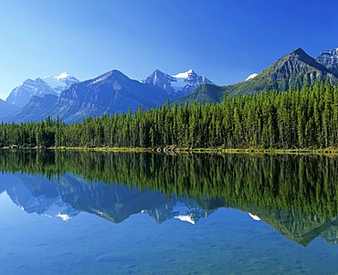 Jasper Tramway, gondola, cablecar, Alberta, Canada