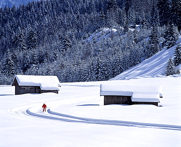 Winter landscape with cross-country ski run between Kaltenbrunn and Klais, Upper Bavaria, Germany