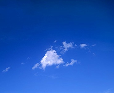 Small cloud in front of a blue sky