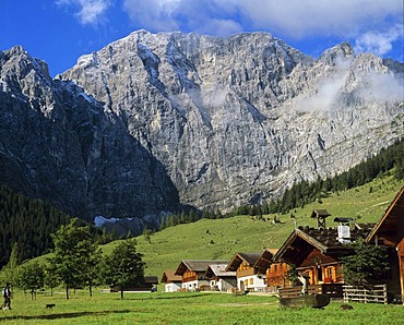 Grosser Ahornboden, Engalm, Grubenkarspitze, Gruberkar Wall, Karwendel, Tyrol, Austria