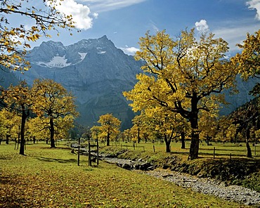 Grosser Ahornboden, Spritzkarspitze, Eiskarln, Karwendel, Tyrol, Austria