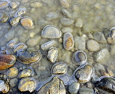 Pebbles on a lake shore with thin ice layer