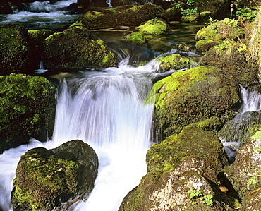 Small waterfall in a mountain stream lined in moss-covered rocks, movement