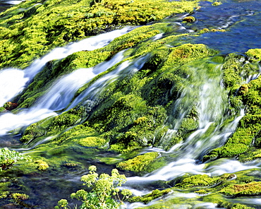 Small waterfall in a mountain stream with moss-covered rocks, Iceland