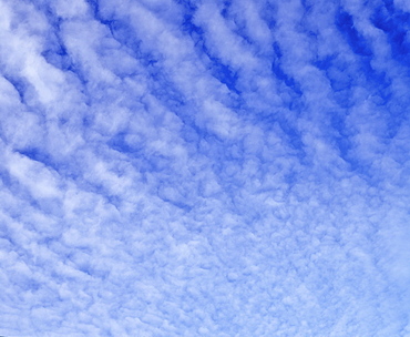 Altocumulus clouds in a blue sky