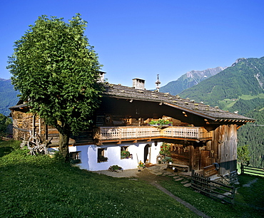 Bichlhof farm near St. Johann, mountain farm, Ahrntal, Valle Aurina, Province of Bolzano-Bozen, Italy