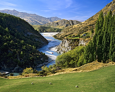 Shotover River, motorboat, Arthur's Point, Queenstown, South Island, New Zealand