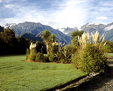 Landscape at the Franz Josef Glacier, South Island, New Zealand