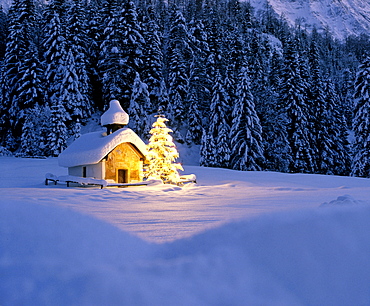 Chapel near Elmau, dusk, snow-covered winter landscape, Christmas tree, Upper Bavaria, Bavaria, Germany