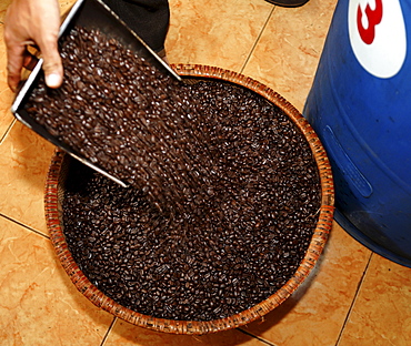 Robusta coffee in the coffee storage of Simexco Daklak in Buon Ma Thuot City, Vietnam, Southeast Asia