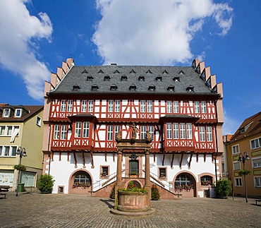 The Deutsches Goldschmiedehaus Museum fuer Kunsthandwerk, German Goldsmith's house Museum for artisan craft, Hanau, Hesse, Germany, Europe