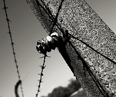 Camp fence with barbed wire at Buchenwald concentration camp, Weimar, Thuringia, Germany, Europe