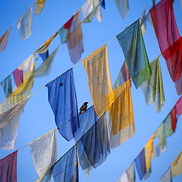 Prayer-flags, Kathmandu, Nepal, Asia