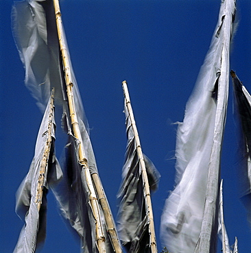 Prayer-flags, Himachal Pradesh, India