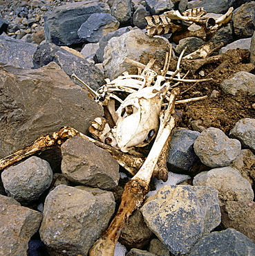 Skeleton, Anatolia, Turkey