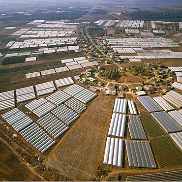 Aerial greenhouses of Ahituv in the Sharon, Israel