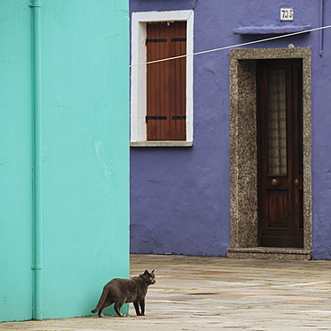 Burano, Venice, UNESCO World Heritage Site, Veneto Province, Italy, Europe