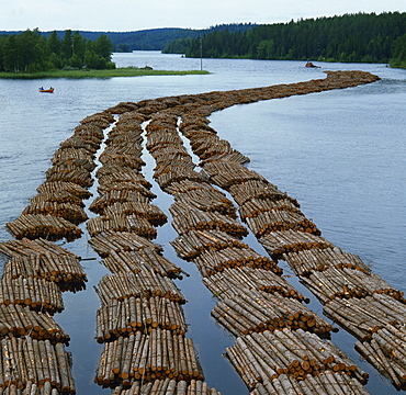 forestry trees transport of logs on river