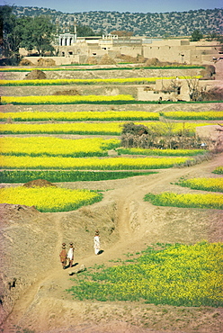 Village near Rawalpindi, Pakistan, Asia