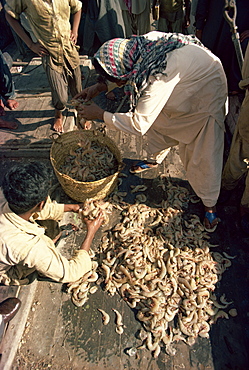 Fish market, Karachi, Pakistan, Asia