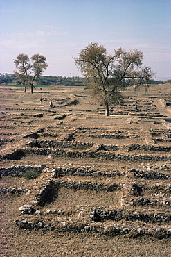 Sirkap, Taxila, UNESCO World Heritage Site, Pakistan, Asia