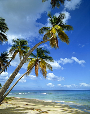 Mahe, Seychelles, Indian Ocean, Africa