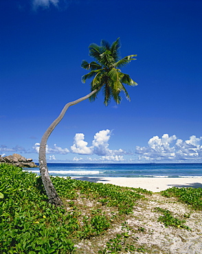 Grand Anse, La Digue, Seychelles, Indian Ocean, Africa