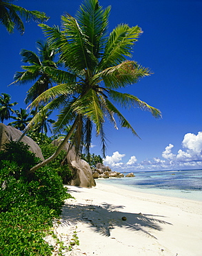 La Digue, Seychelles, Indian Ocean, Africa