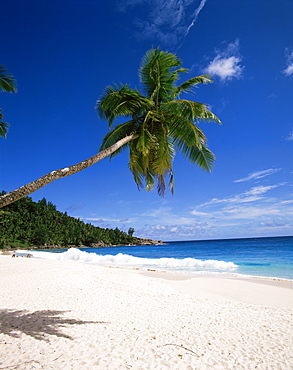 Anse Intedance, island of Mahe, Seychelles, Indian Ocean, Africa