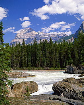 Rocks and trees beside a river with the Rocky Mountains in the background, British Columbia, Canada, North America