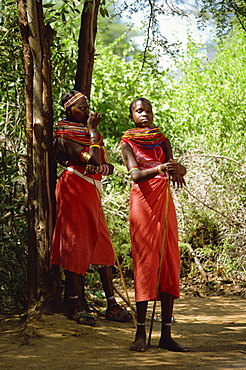 Samburu girls, Kenya, East Africa, Africa