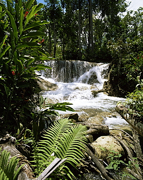 Dunns River Falls, Jamaica, West Indies, Caribbean, Central America