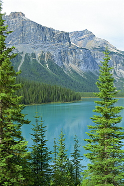 Emerald Lake, Yoho National Park, UNESCO World Heritage Site, Rocky Mountains, British Columbia, Canada, North America