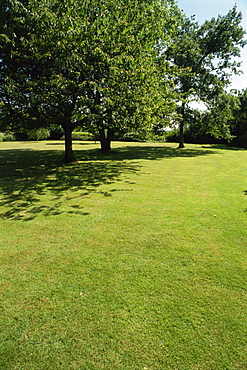 Lawn in an Oxfordshire garden, England, United Kingdom, Europe