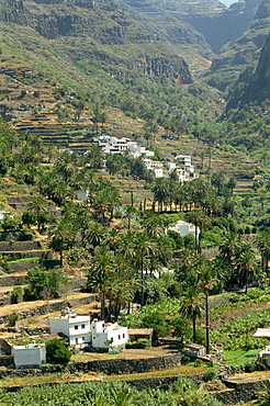 Valle Gran Rey, La Gomera, Canary Islands, Spain, Atlantic, Europe