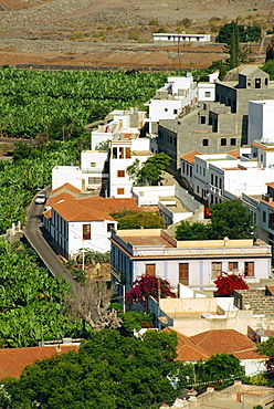 Houses beside banana plantations, Santiago, La Gomera, Canary Islands, Spain, Atlantic Ocean, Europe